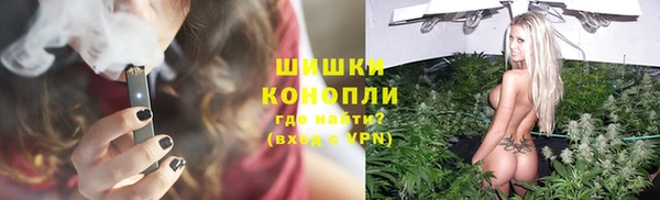 мдпв Костерёво